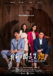 Мой босс - кот